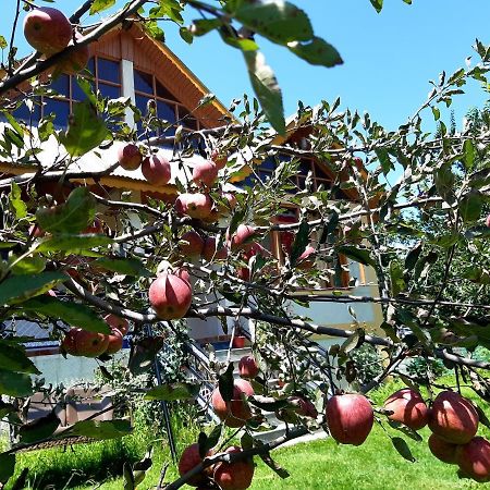 Heavenly Daze Cottage מנאלי מראה חיצוני תמונה