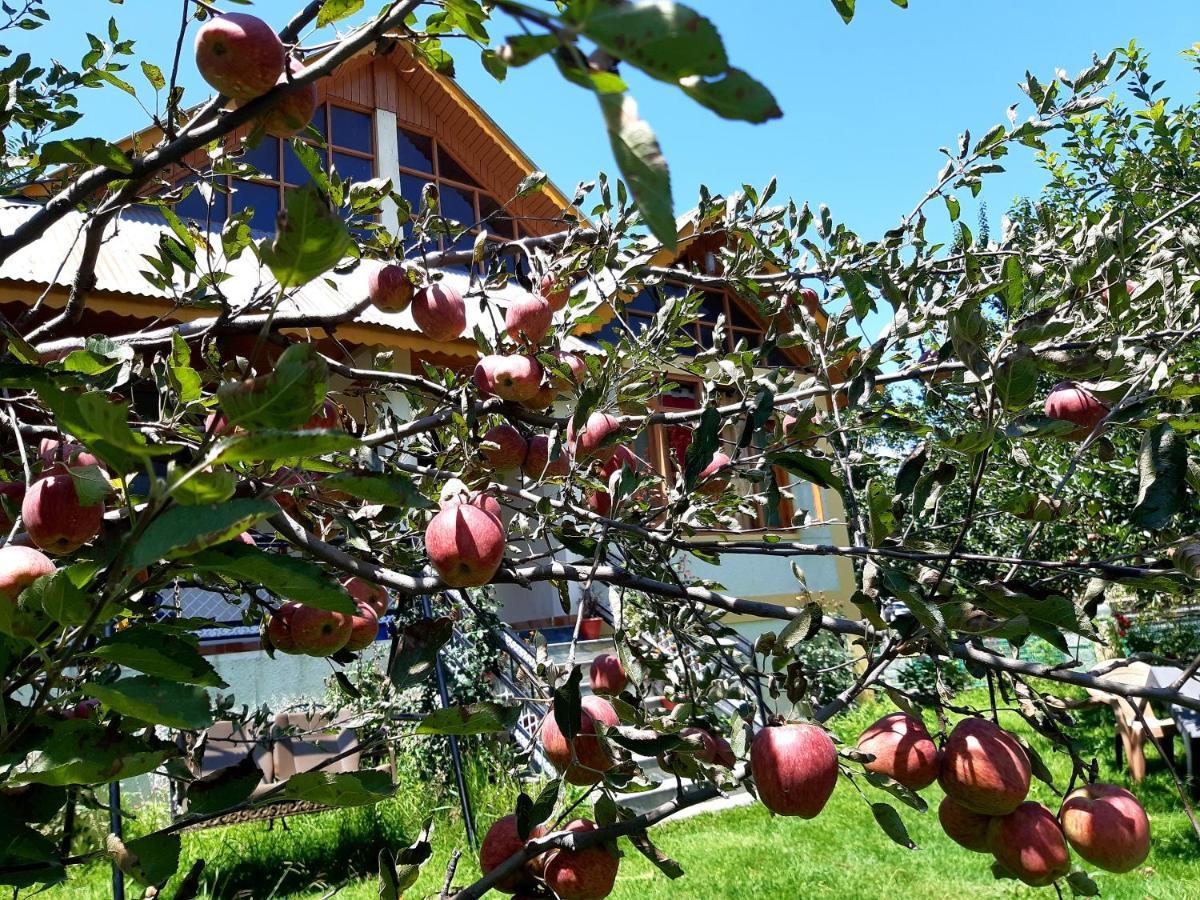 Heavenly Daze Cottage מנאלי מראה חיצוני תמונה